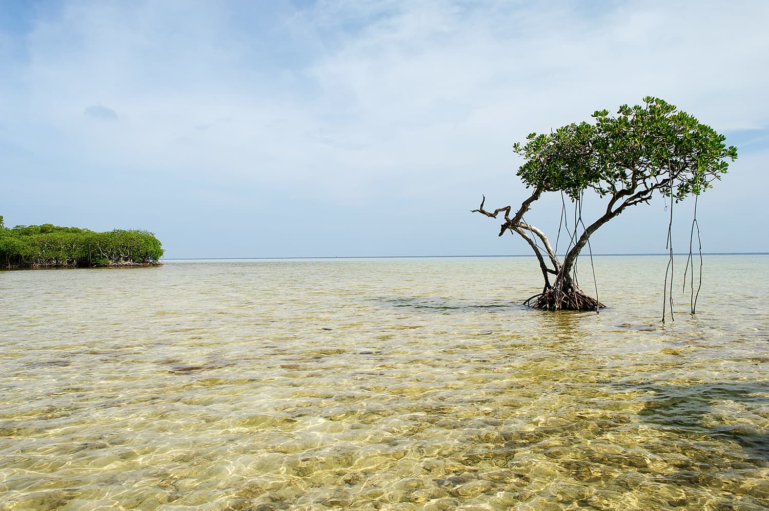 Kawasan Industri Sultan Werdinata
